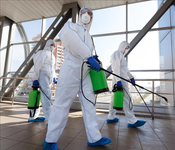Technicians in Tyvek suits with chemical sprayers.
